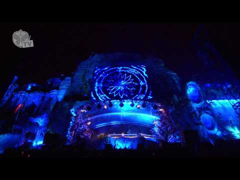 Tomorrowland 2013 - Avicii