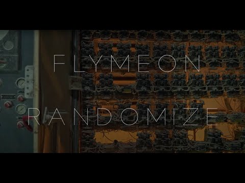 Flymeon - Randomize (Official video)