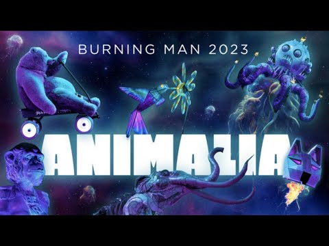 Official Burning Man Live Webcast 2023