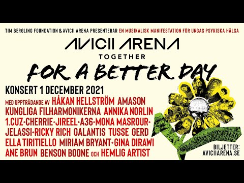 Avicii Arena – Together For A Better Day